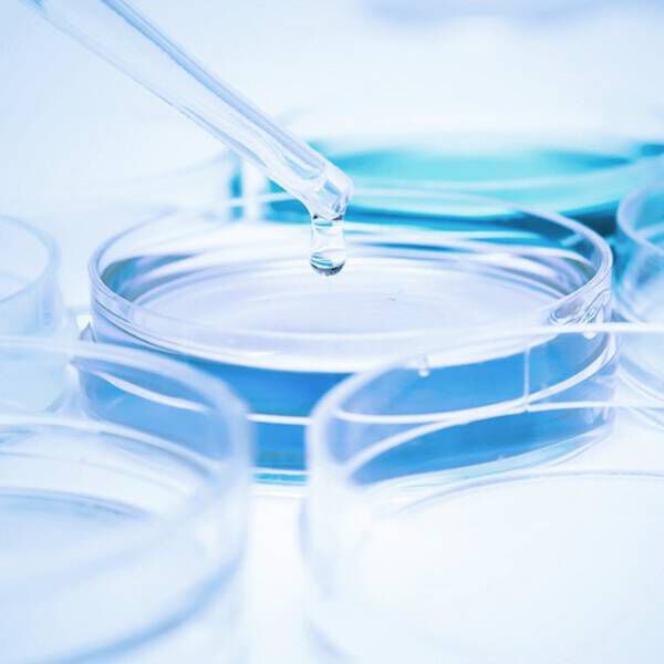 A pipette dropping a liquid into clear Petri dishes containing different colored solutions.