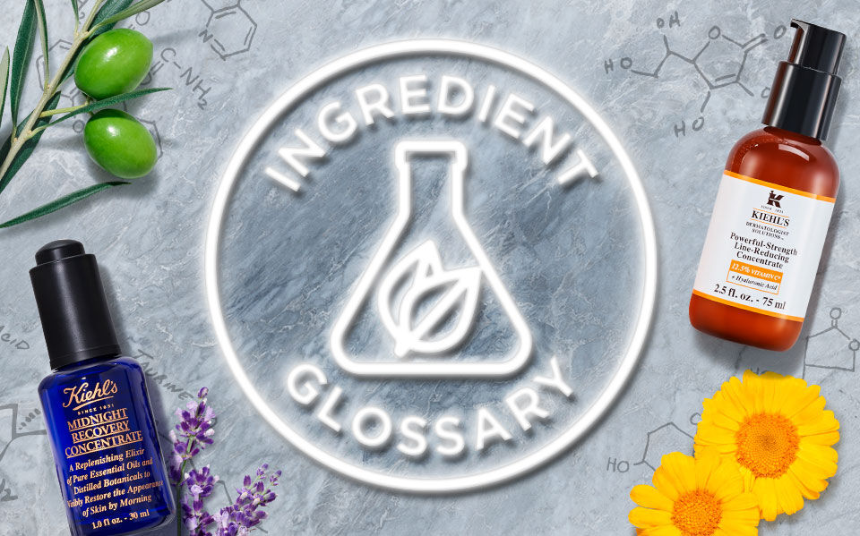 Alt text: A flat lay of cosmetic products arranged around an "Ingredient Glossary" graphic, featuring skincare bottles, flowers, olives, avocado, and herbs on a textured gray background.