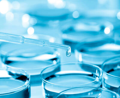 A pipette is poised above several petri dishes filled with a blue liquid, with a single droplet about to fall from the tip.