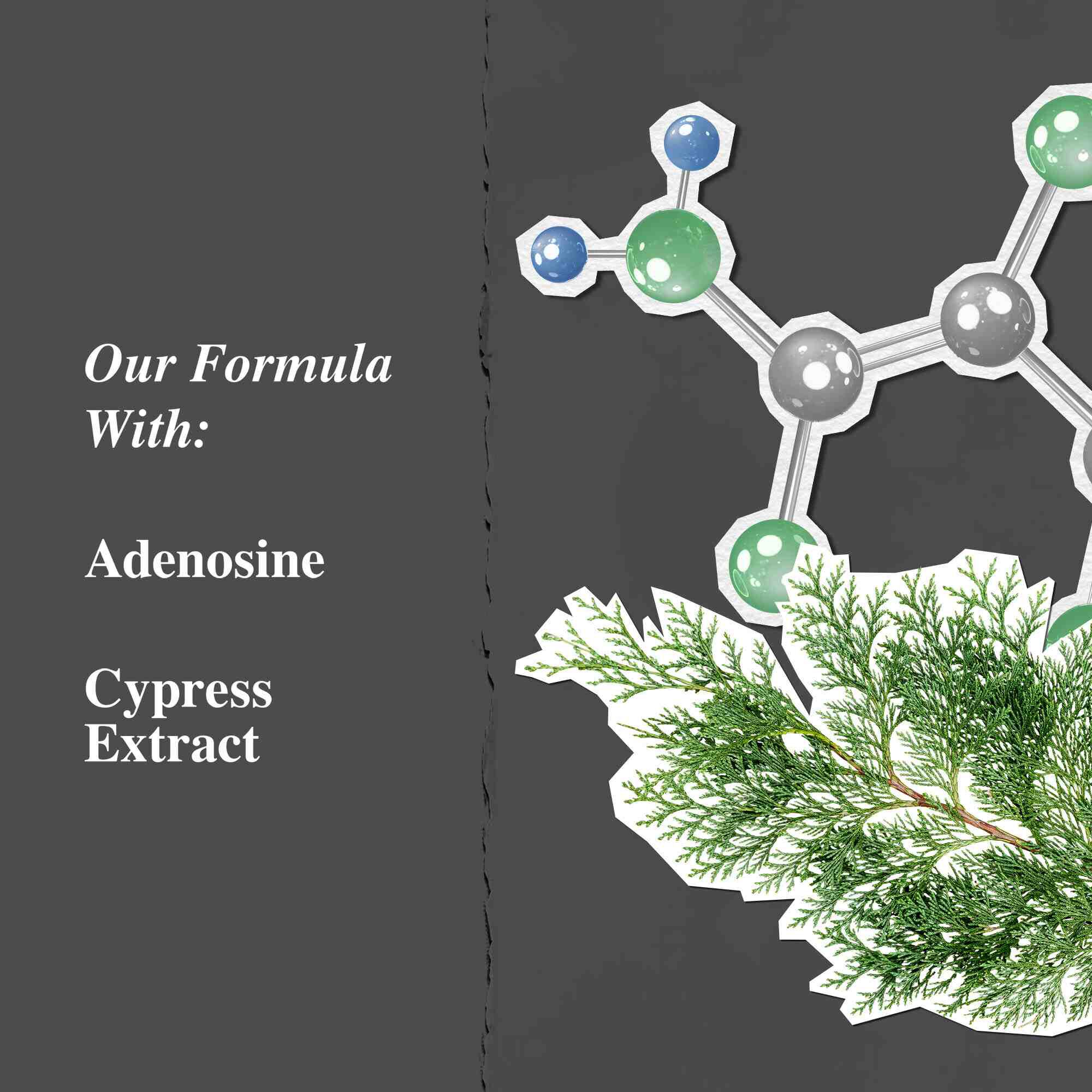 Grafikk over nøkkelingredienser: adenosin og sypresseekstrakt.