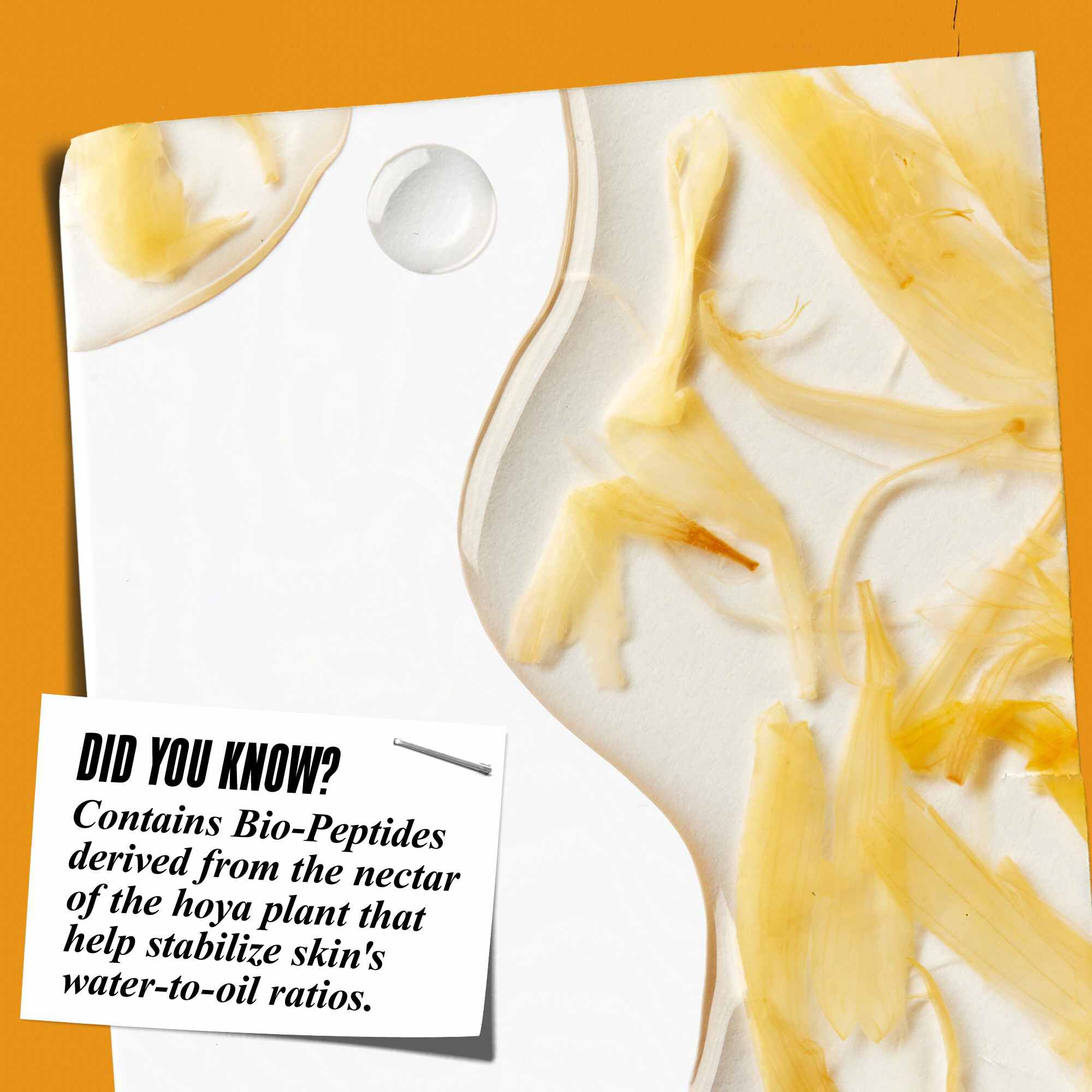 Naerbilde av Calendula Herbal-Extract Toner-tekstur med ringblomstblader og teksten: "Visste du at? Inneholder bio-peptider avledet fra nektaren til hoya-planten som bidrar til å stabilisere hudens vann-til-olje-forhold."