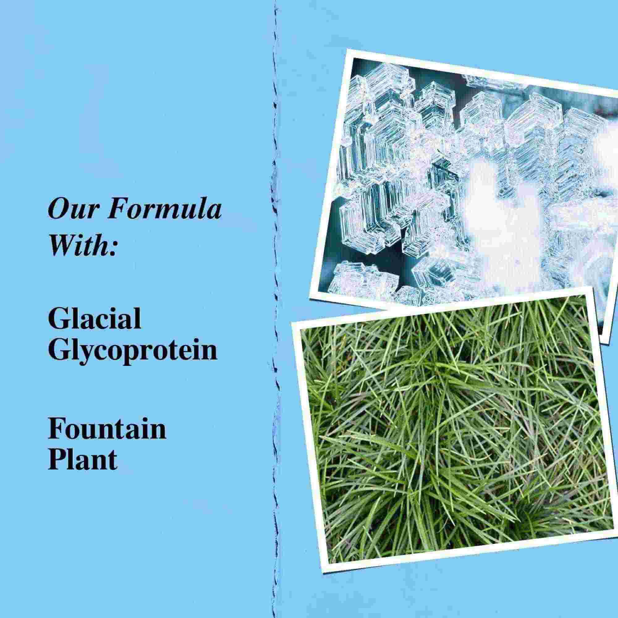 Grafikk over nøkkelingredienser: isbre-glykoprotein og slangskjegg (fountain plant).