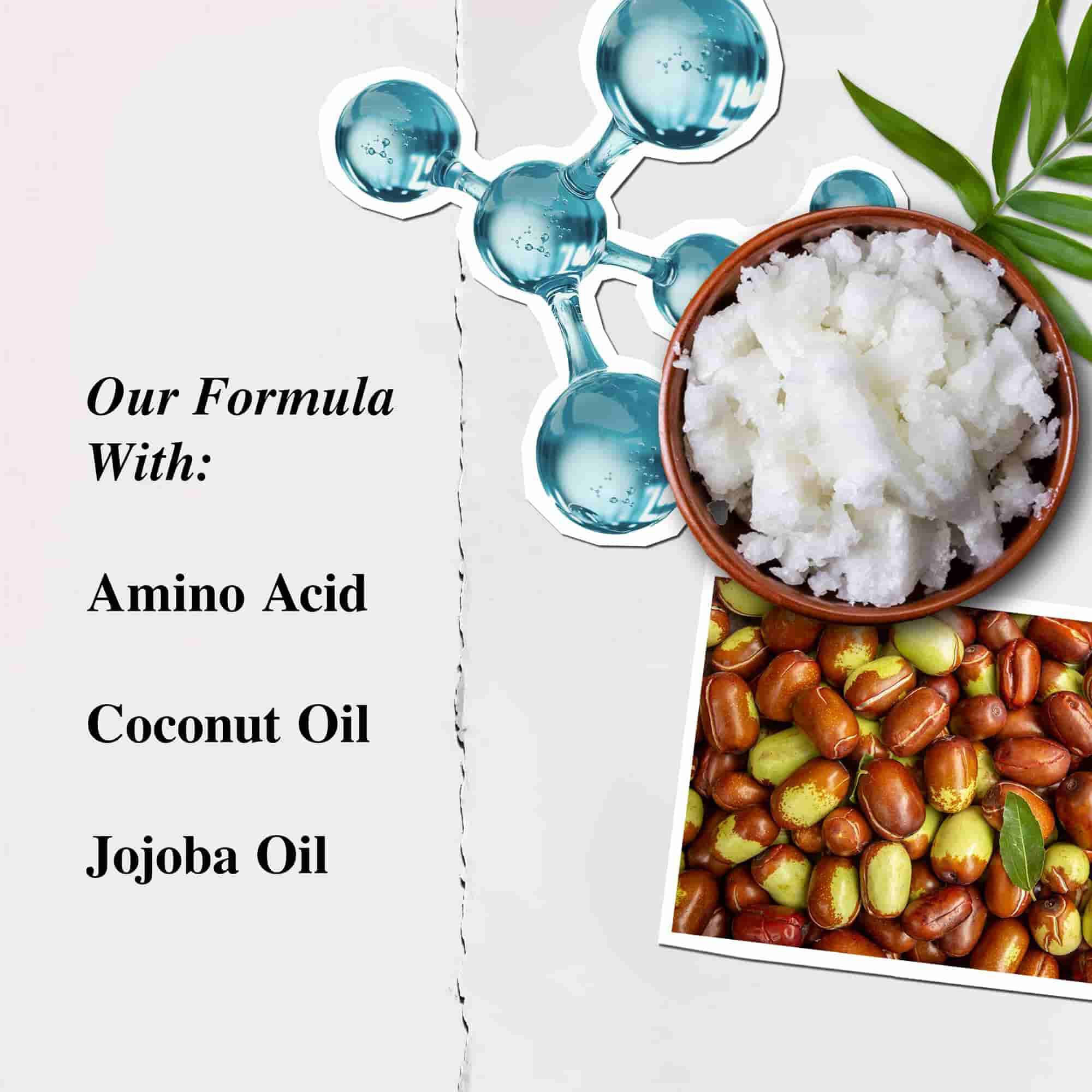 Kiehl's Amino Acid Conditioner ingrediensillustrasjon – Aminosyre, kokosolje, Jojobaolje