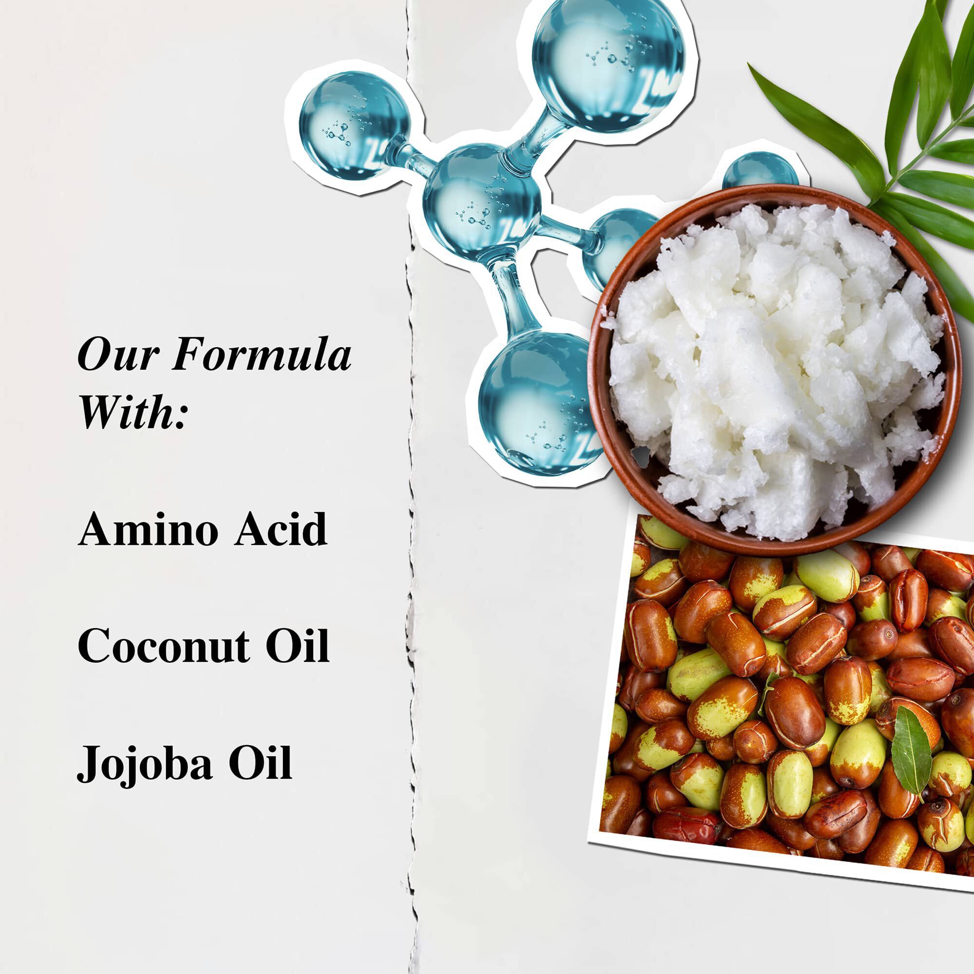 Kiehl's Amino Acid Conditioner ingrediensillustrasjon – Aminosyre, kokosolje, Jojobaolje